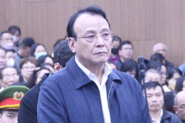 Cựu Chủ tịch HĐQT Tân Hoàng Minh Đỗ Anh Dũng được đặc xá