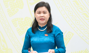 Sẽ lấy ý kiến Nhân dân về sửa Hiến pháp qua VNeID