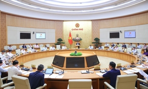 Không quy định tên và nhiệm vụ, quyền hạn cụ thể của bộ ngành vào trong Luật