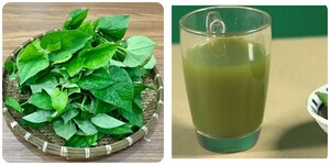 Những người không nên uống nước ép rau diếp cá