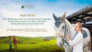 Học viện Cưỡi ngựa Vinpearl Vũ Yên tổ chức hội thảo chuyên sâu hàng đầu về ngựa