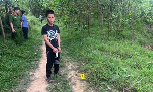 Lừa bán sắt vụn, gã thanh niên cưỡng hiếp một phụ nữ thu mua phế liệu