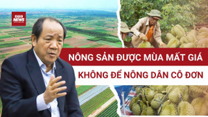 Khi nông sản được mùa mất giá: Cần cái bắt tay giá trị để nông dân không cô đơn