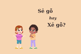 90% người nhầm lẫn: 'Sẻ gỗ' hay 'xẻ gỗ'?