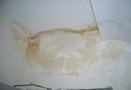 Nhà mới xây tường bị ố vàng xử lý thế nào?