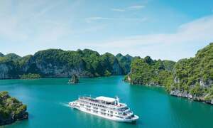 Paradise Vietnam triển khai loạt chương trình nghỉ dưỡng hè hấp dẫn tại Hạ Long