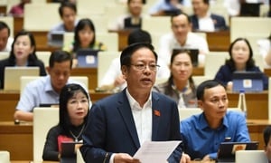 Đề nghị không áp dụng thuế tiêu thụ đặc biệt với xăng dầu