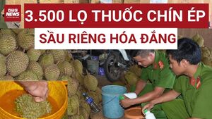 3.500 lọ thuốc ép chín sầu riêng bị thu giữ: Ai đầu độc niềm tin người tiêu dùng?