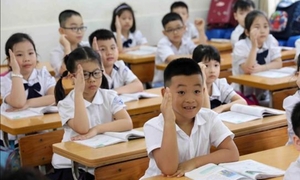 Học sinh tiểu học Việt Nam thuộc top đầu Đông Nam Á về Toán, Đọc hiểu, Viết