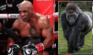 Giới võ thuật 'dậy sóng' vì 1 câu hỏi, Mike Tyson tuyên bố hùng hồn
