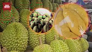 Cadimi âm thầm ‘đầu độc’ ngành hàng sầu riêng Việt Nam thế nào?