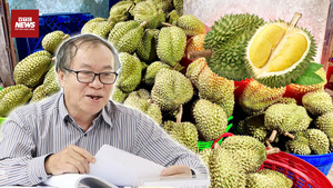 Sầu riêng nhiễm độc kim loại nặng: Chuyên gia cảnh báo nguy hiểm thế nào?
