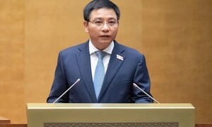 Đề xuất thành lập Khu thương mại tự do tại Hải Phòng