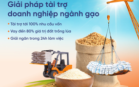 SHB ra mắt giải pháp tài trợ linh hoạt cho ngành gạo, phát triển nông nghiệp