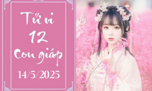 Tử vi 12 con giáp hôm nay ngày 14/5/2025: Tý tiêu cực, Thân thuận lợi