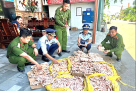 Phát hiện gần 500kg chân gà, đuôi lợn 'bẩn' trong kho công ty thực phẩm sạch