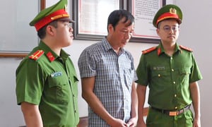 Bắt khẩn cấp chủ tịch xã ở Phú Thọ làm ngơ khai thác đất rừng trái phép