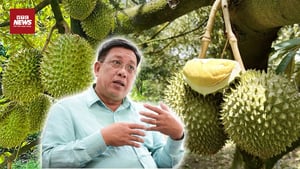 Không chuẩn hóa vùng trồng sầu riêng: Mất cả thị trường lẫn niềm tin