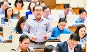 Chính phủ ủng hộ phát triển điện hạt nhân, Đại biểu Quốc hội nói gì?