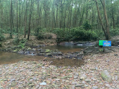 Hai anh em họ chết đuối thương tâm khi đi tắm suối ở Hà Tĩnh