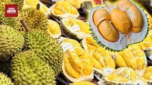 Không đạt chuẩn xuất khẩu, sầu riêng sẽ về đâu?