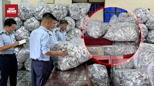 40.000 gói rong biển không nhãn mác bị tạm giữ: Ai đứng sau?