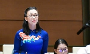 Đề xuất cấp xã được kiểm tra, xử phạt hàng giả, hàng nhái