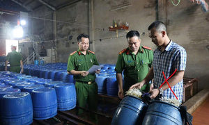 Khởi tố chủ cơ sở bán 60 tấn giá đỗ dùng chất kích thích tăng trưởng