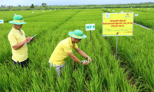 Khoa học công nghệ - nền tảng đưa Petrovietnam bước vào kỷ nguyên mới