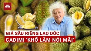 Kim loại nặng đẩy giá sầu riêng lao dốc: Không xử lý, nông dân phải trả giá đắt