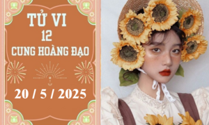 Tử vi 12 cung hoàng đạo ngày 20/5: Cự Giải khó khăn, Bảo Bình chậm trễ