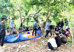 Triệt phá đường dây đánh bạc trong rừng, thu hàng trăm triệu đồng