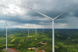 Kỷ luật nguyên Phó Giám đốc Sở Kế hoạch và Đầu tư tỉnh Đắk Nông