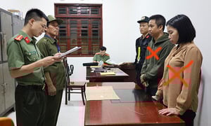 Bắt 12 kẻ kinh doanh đa cấp xuyên biên giới trái phép, giao dịch hàng nghìn tỷ
