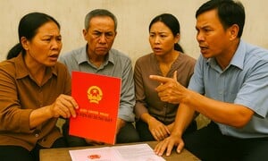 Làm gì khi hàng xóm làm sổ đỏ sang diện tích đất nhà mình?