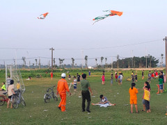 EVNHANOI cảnh báo mối nguy hiểm khi thả diều gần lưới điện