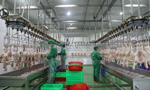 Tây Ninh đẩy mạnh nông nghiệp công nghệ cao, hướng tới sản xuất bền vững