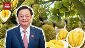 Nỗi niềm của Phó Chủ tịch Quốc hội: ‘Sầu riêng bị sượng, đâu chỉ lỗi của đất’