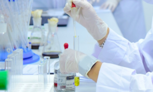 Học sinh cấp 3 đứng tên bài báo khoa học quốc tế, tranh luận tính thực chất