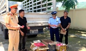 Phát hiện xe tải chở hơn 1.200 lọ kem dưỡng da không rõ nguồn gốc ở Nghệ An