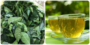 5 điều không nên khi uống nước chè xanh