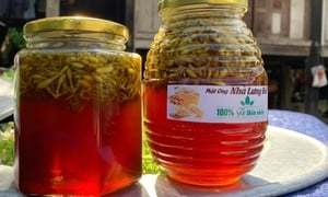 Bài thuốc từ mật ong ngâm hoa đu đủ đực
