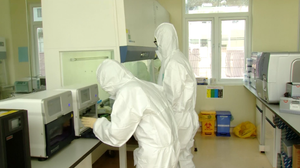 Biến chủng COVID-19 mới NB.1.8.1 có đáng ngại?