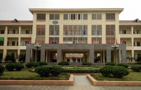 Bắt Chủ tịch và Tổng Giám đốc Công ty Sona