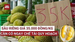 Giá sầu riêng 35.000 đồng/kg: Việc phải làm ngay để 'sầu riêng không hoá sầu chung'
