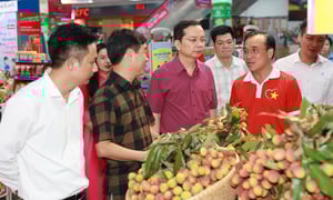 'Hành trình hạnh phúc' tại siêu thị Co.opmart Bắc Giang