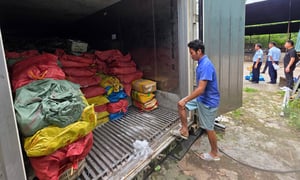 Phát hiện 25 tấn mực bốc mùi tại một kho hàng ở Quảng Ninh 