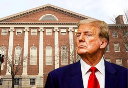 Ông Trump cho Đại học Harvard 30 ngày 'kháng cáo'