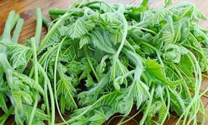Cách chế biến loại rau bổ ngang thịt, ăn thường xuyên giúp sáng mắt, đẹp da