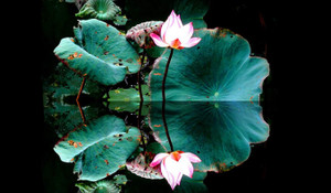 Tết Đoan ngọ: Diệt sâu bọ ngoài thân, diệt phiền não trong tâm